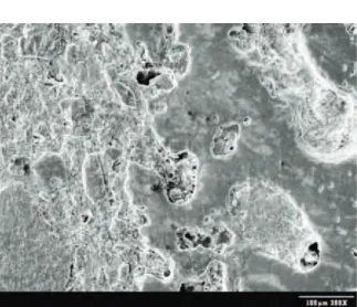 Figure  8  is  the  microstructure  of  the deteriorated  layer  of  AGT2  refractory