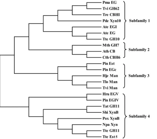 Table 1. The binding free energy of the candidate CBM combining with cellobiose.