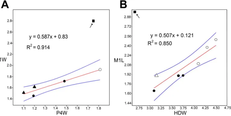 Fig 3. Simple linear regression plots (OLS) with 95% confidence limits (blue lines) of dental and postcranial measurements of mystacinids (Table 1)