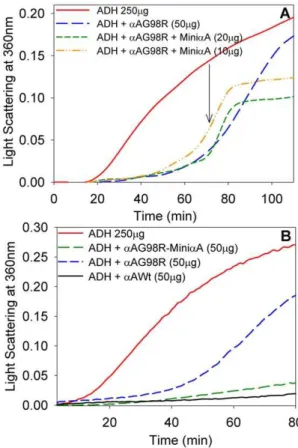 Figure 5. Effect of the addition of a A-crystallin–derived mini- mini-chaperone on the mini-chaperone-like activity of a AG98R against ADH aggregation