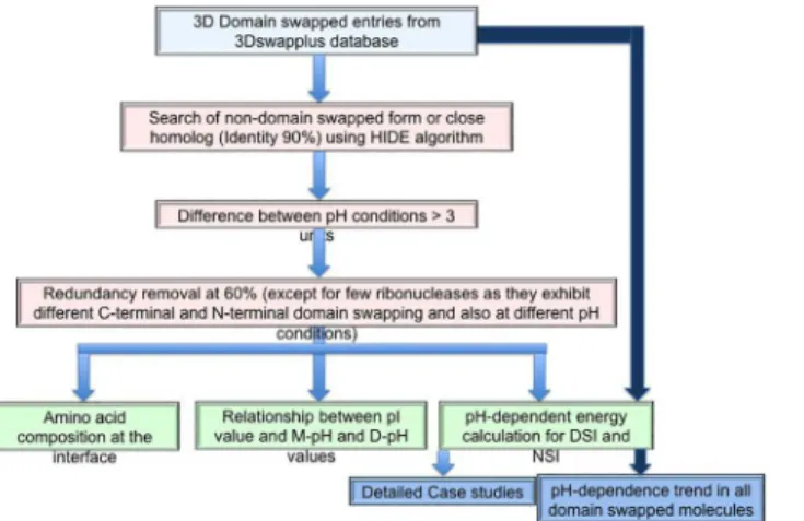 Fig 2. Strategy used to study pH-dependent domain swapping process.