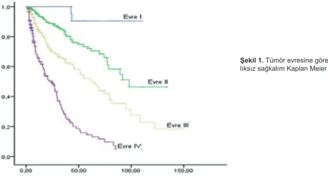 Şekil 1. Tümör evresine göre Hasta- Hasta-lıksız sağkalım Kaplan Meier eğrisi