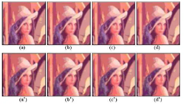 Figure 5: Segmented true color Lena images using sets (a) s 1 (b) s 2 (c) s 3 (d) s 4 using fully connected PSONN architecture (a ′ ) s 1 (b ′ ) s 2 (c ′ ) s 3 (d ′ ) s 4 using pruned PSONN architecture