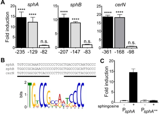 Figure 5. SphR directly binds to its target regulatory regions and binding is stimulated by sphingosine