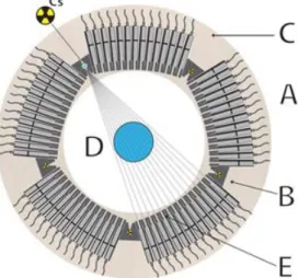 Figure 1: Instant Non-Scanning tomography design for multiphase analysis. NaI(Tl) detectors (A), radioactive  shielding case (B), wooden platform (C), the multiphase object to be analyzed (D) and detector collimator (E) [3]