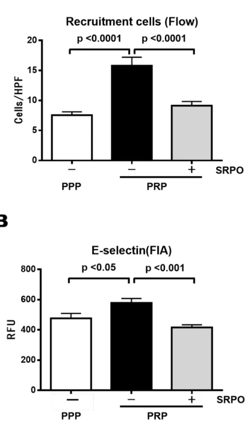 Fig 3. THP-1 cell adhesion to HUVECs (Flow chamber assay) and expression of E-selectin in HUVECs.