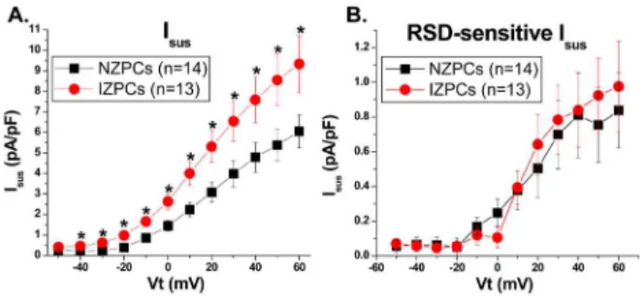 Figure 8. Basal Isus I-V curves (A) and RSD-sensitive Isus I-V curves (B) in NZPCs and IZPCs