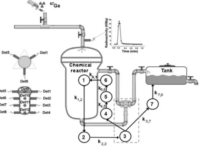 Figure 1: Scheme of the experimental process and the compartmental model. 