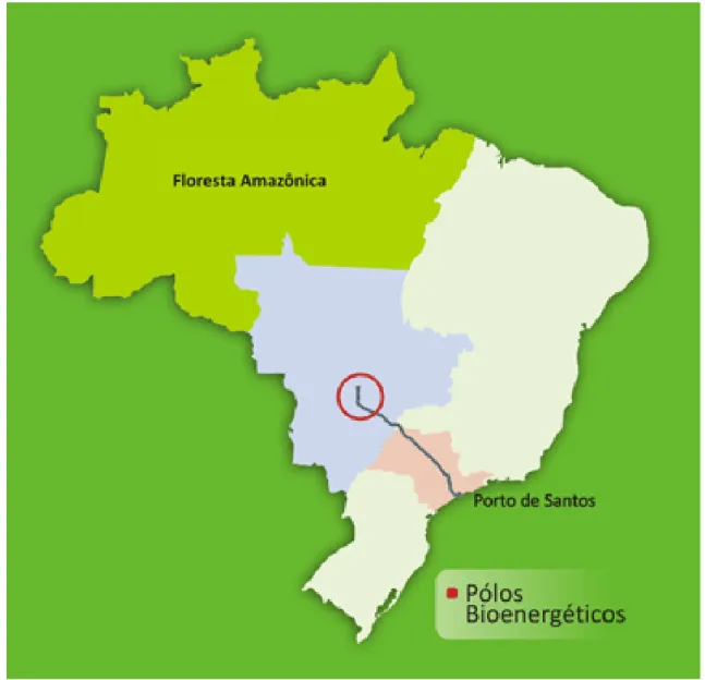 Figura 1: Mapa apresentado pela Brenco, que exclui da Amazônia brasileira os Estados de Mato Grosso, Maranhão e  Tocantins