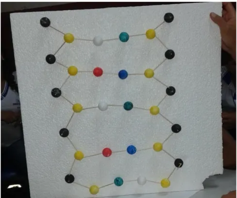 Figura 02: Representação da estrutura química do DNA montada com o auxílio de bolinhas de isopor e palitos de  dente