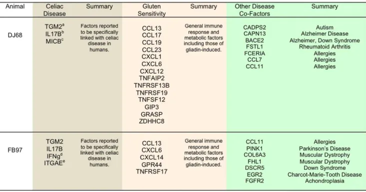 Table 1. Composition of Mamu-DQA1, -DQB1 and -DRB alleles of four gluten-sensitive macaques used in this study.