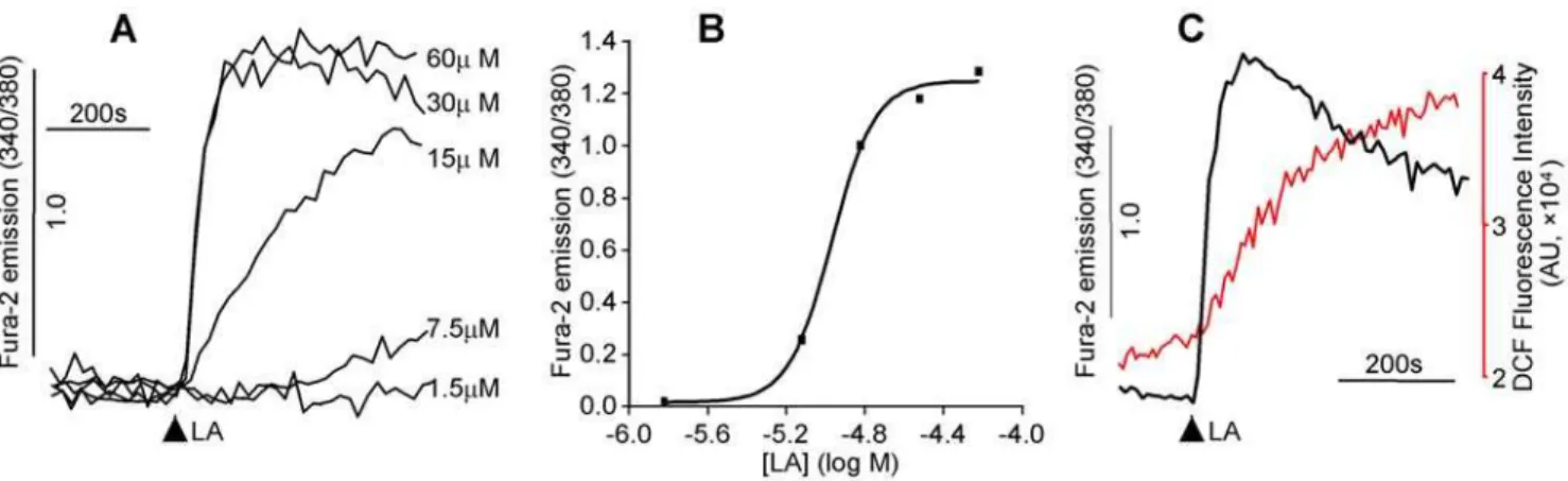Figure 1. LA-induced [Ca 2+ ] i mobilization and ROS generation. Human mesangial cells were labeled with fura-2 (1 mM) alone or together with DCF (1 mM) (37 u C, 30 min)