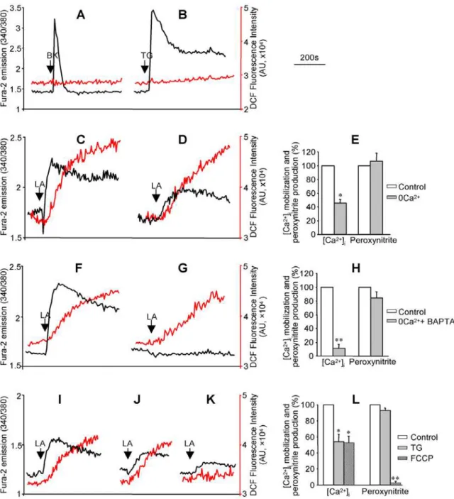 Figure 3. Mitochondria played an essential role in LA-induced [Ca 2+ ] i mobilization and peroxynitrite generation