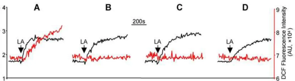 Figure 6. Mitochondrial complexes I and III were required for LA-induced peroxynitrite generation