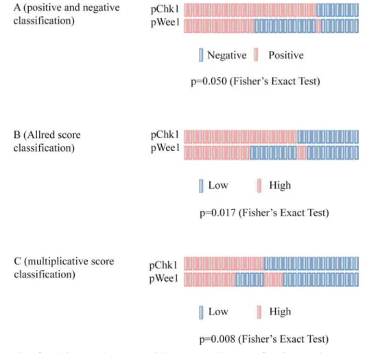 Fig 3. OncoPrints showing the association between pWee1 and pChk1 in 37 cervical cancer samples.