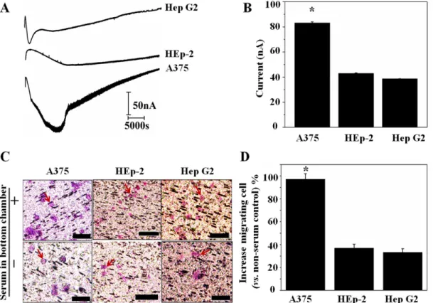 Fig 6. Cell migration quantified by bi-module device. (A) in situ amperometric signal of melanoma A375 cell, larynx HEp-2 cell and liver cancer Hep G2 cell seeded in device containing conditional medium (B) histogram of maximum current signal during 12h of