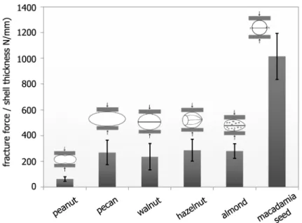 Table 1. Fracture forces of different seed coats, nut shells and hard inner drupe shells (endocarp, ‘‘fruit stone’’); all specimens were tested in compression in the as-received state without additional drying with a cross-head speed of 5 mm/min.