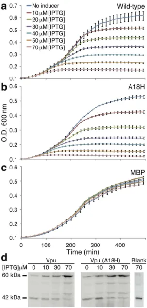 Figure 1. Growth curves of DH10B bacteria expressing two different Vpu channels: wild-type (a) and the A18H mutant (b) as a function of inducer concentration (IPTG)