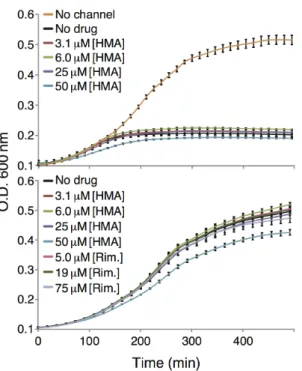 Figure 4. Maximal growth rate of DH10B bacteria expressing the Vpu A18H mutant as a function of different rimantadine concentrations