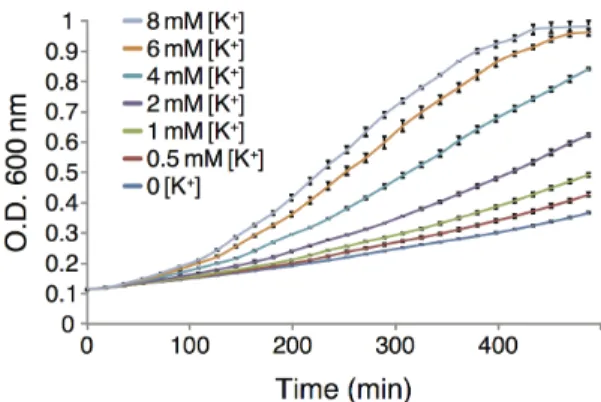 Figure 7. Top. Growth curves of LB650 bacteria expressing wt Vpu as a function of different HMA concentrations