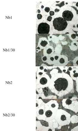 Fig. 12. Structure of ductile iron (500x, nital etched) 