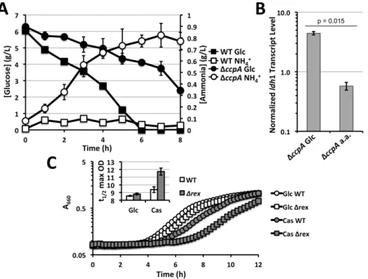 Figure S1 Model of S. aureus glucose-dependent ldh1 regulation. NO? blocks respiration leading to a buildup of NADH (low NAD + /NADH ratios), which diminishes Rex DNA binding activity leading to derepression of ldh1