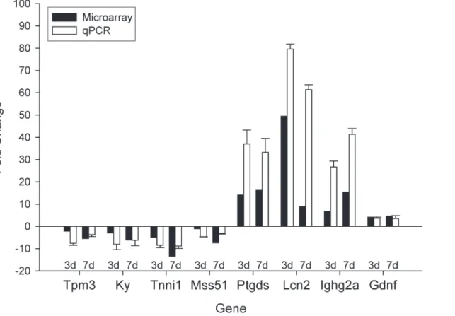 Fig 5. Validation of the results of microarray experiments by qRT-PCR analysis. Overall, we find consistency between qPCR and microarray analysis.