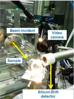 Figure 1: Experimental arrangement for a synchrotron X-ray microfluorescence measurement