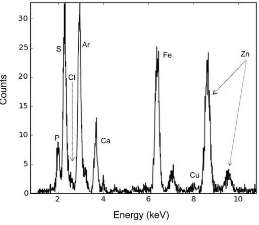 Figure 2 below shows an XRF spectrum of a prostatic cell spheroid. The technique allowed to  detect  the  following  elements:  P,  S,  Cl, Ar,  Ca,  Fe,  Cu  and  Zn,  from  the  mentioned  experimental  conditions