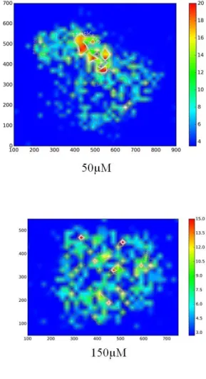 Figure 5: Images resulting from two-dimensional intensity maps of Cu in normal spheroids  with 0, 50, 100 and 150 µM of ZnCl 2  for 24 hours 