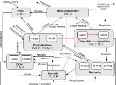 Figure 1. Conceptual diagram of the biogeochemical model Eco3M-MED. Grey boxes represent major compartments and white boxes sub-compartments