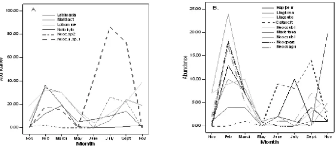 Fig 2: A and B. Seasonal variation of the 15 most common carabid species.