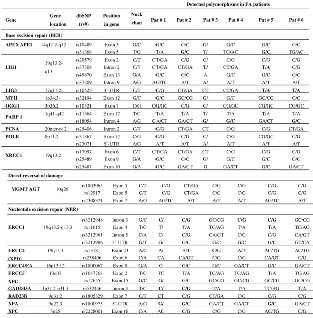 Table 1. Summary of DNA repair genes screened for polymorphisms 