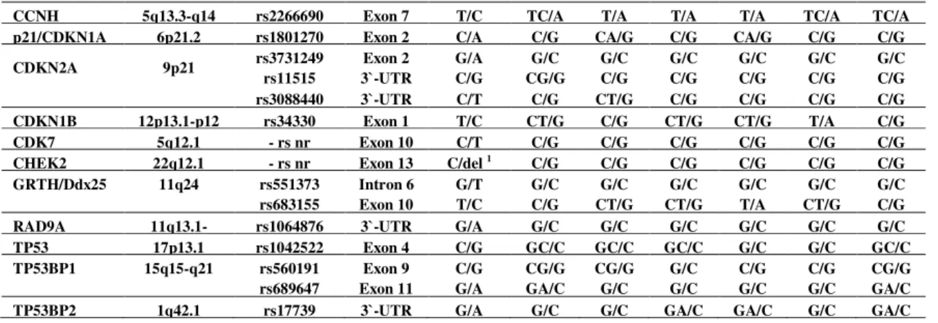Table 2. Summary of cell cycle control genes screened for polymorphisms 