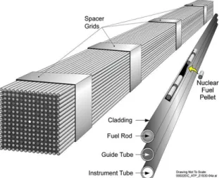 Figure 1: Fuel rod arrangement description. 