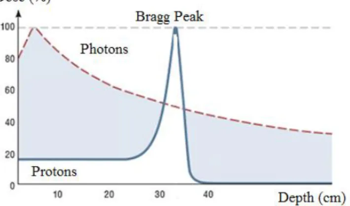 Figure 1: Representation of the energy deposition of photon beam and protons.  