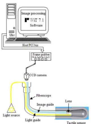 Fig. 7:  Schematic  arrangement  of  image  acquisition  system and fiberscope 