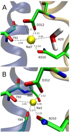 Figure 3. The N310 configurations in the closed and open structures contrasted with the MD results