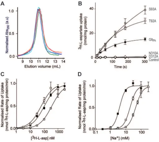 Figure 4. T92A and S93A mutations in Glt Ph have reduced Na + affinity. (A) Size exclusion column profile for wild type Glt Ph (dark blue), T92A (red), S93A (green), N310A (pink) and D312A (cyan)