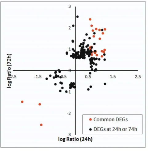 Figure 5. A scatter plot of log 2 ratio (logR) for genes whose expression were significantly affected at either 24 h or 72 h post CAPE treatment
