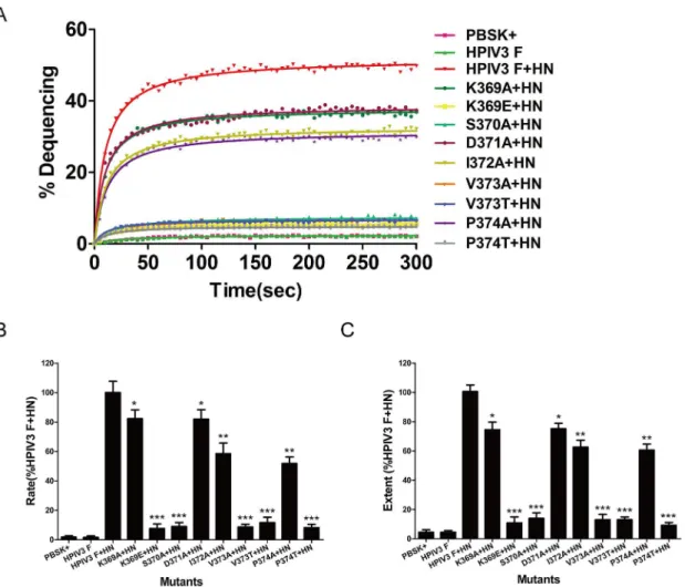 Fig 5. Kinetics of R18 dye transfer for HPIV3 wt or mutated F and HN proteins. The effector-target cell complexes was injected into a cuvette containing PBS prewarmed to 37°C, and fluorescence changes were measured as described in Materials and Methods