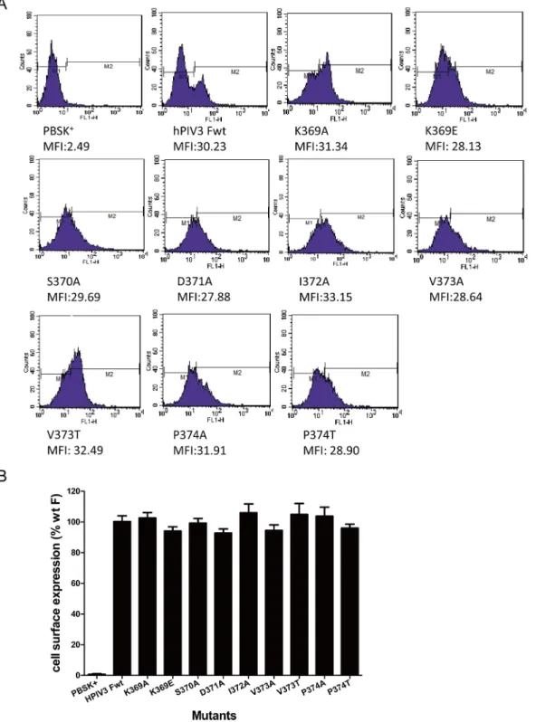 Fig 6. Cell surface expression (CSE) of the mutant F proteins. Cell surface expression was measured by flow cytometry with an anti-F monoclonal antibody followed with an anti-mouse Alexa Fluor 488-conjugated antibody