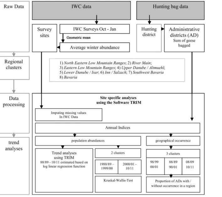 Fig 2. Flowchart of the data processing and analyses (IWC: International Waterbird Census, TRIM: Software doi:10.1371/journal.pone.0130159.g002