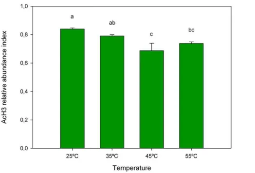 Figure 5. Western blot analysis showing the quantification of AcH3 in leaves of cork oak plants exposed to temperature increase.