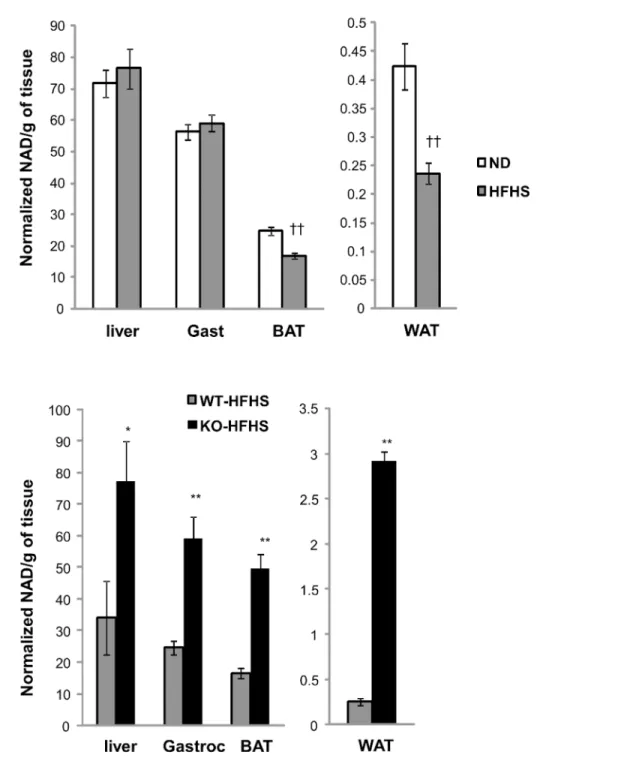 Fig 1. HFHSD reduces tissue NAD + levels and CD38 KO mice have elevated tissue NAD + levels