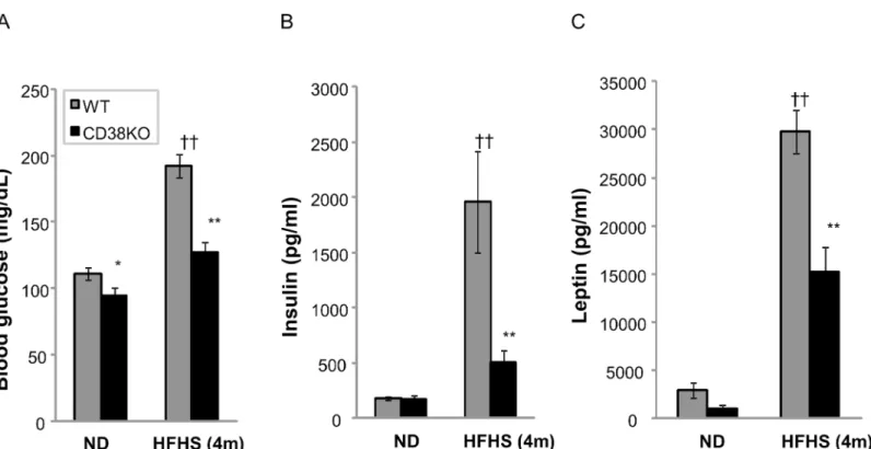 Fig 3. CD38 KO mice are protected from HFHSD- induced hyperglycemia and hyperinsulinemia