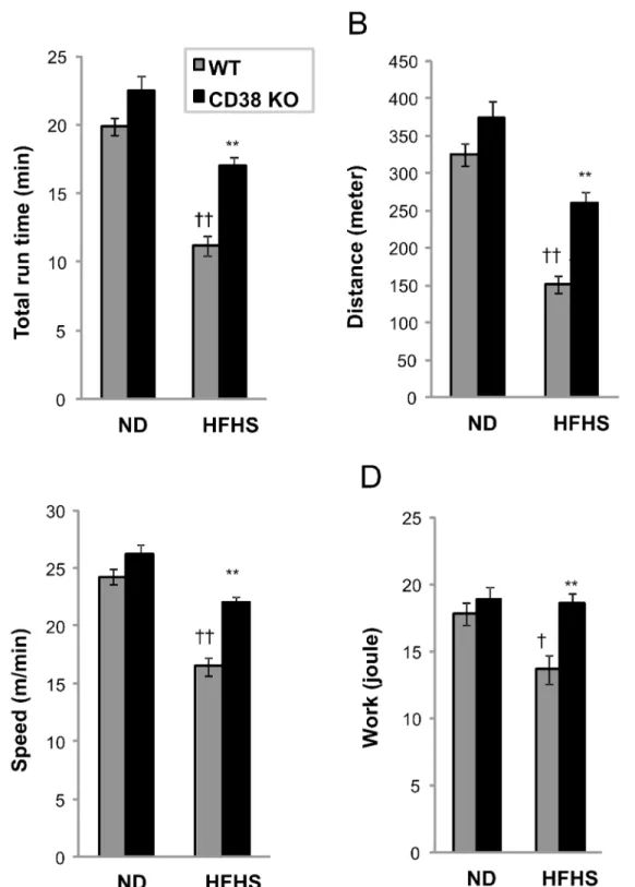 Fig 5. CD38 KO mice are protected from western diet-induced exercise intolerance. (A-D) Treadmill running to exhaustion was performed with WT (grey) and CD38 KO (black) mice fed a ND or HFHSD for 5 months before the study