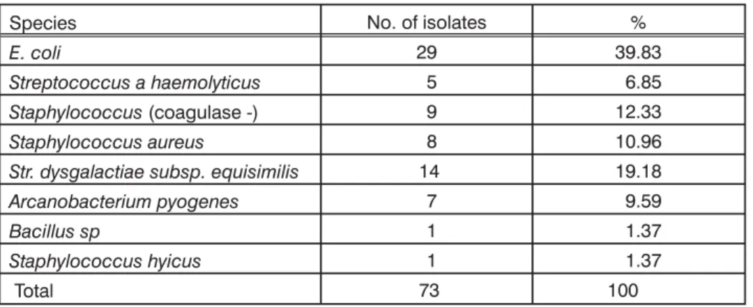 Table 3. Bacterial species isolated from sows uterus and their relative abundance