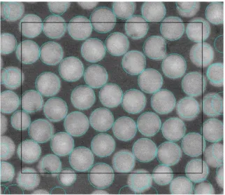 Tab. 1 Results of analysed image 