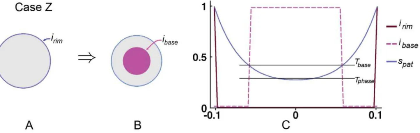 Figure 13 shows a hypothetical example of how diffusion and thresholds can lead to the canvas being partitioned into regions to create a new central region from a peripheral one